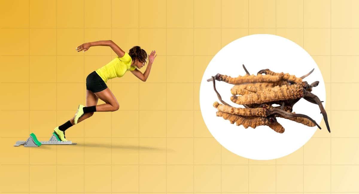 5 Benefits of Cordyceps Sinensis For Athletes