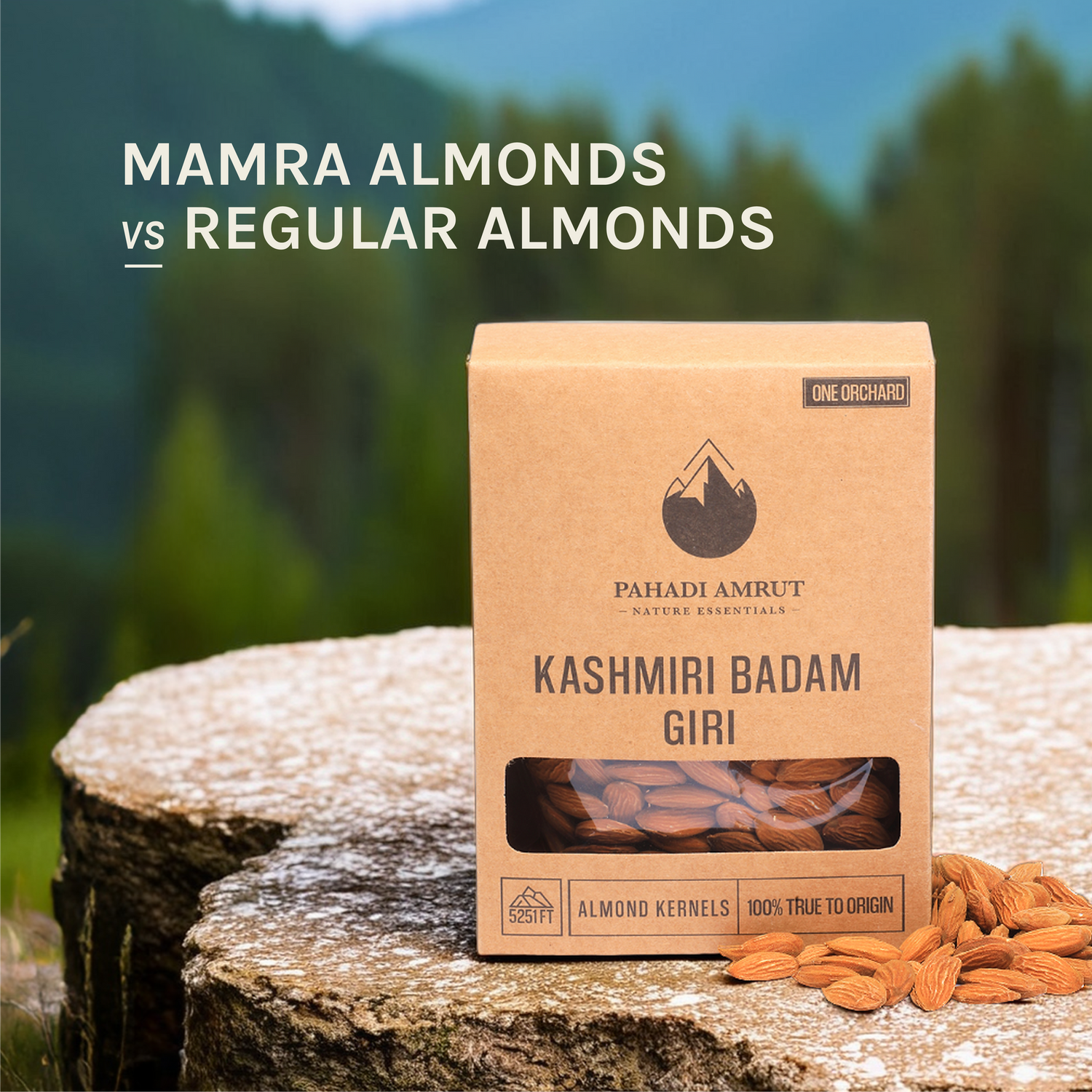 Mamra Almonds vs. Regular Almonds: What’s The Difference?