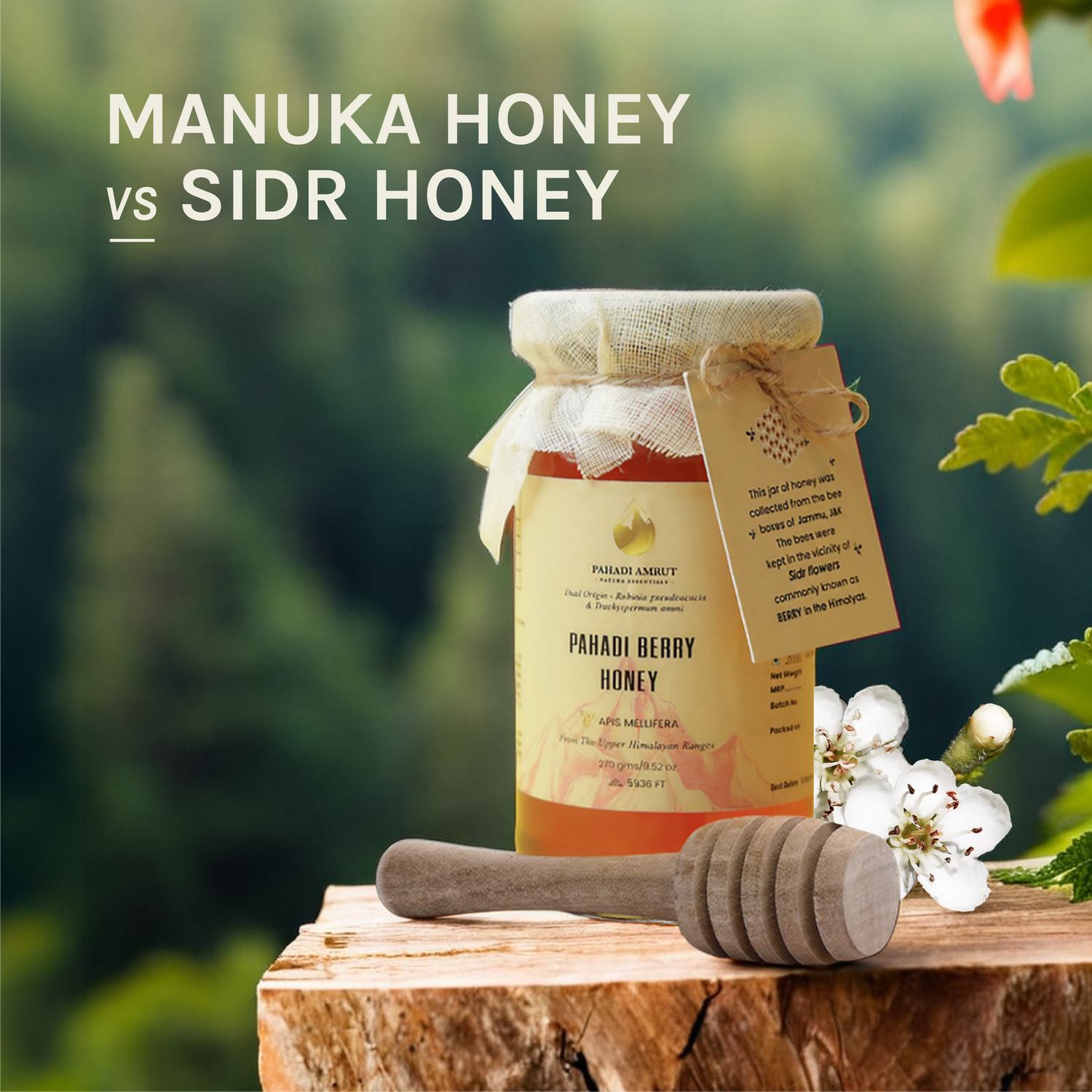 Manuka Honey vs. Sidr Honey: Which Is Better?