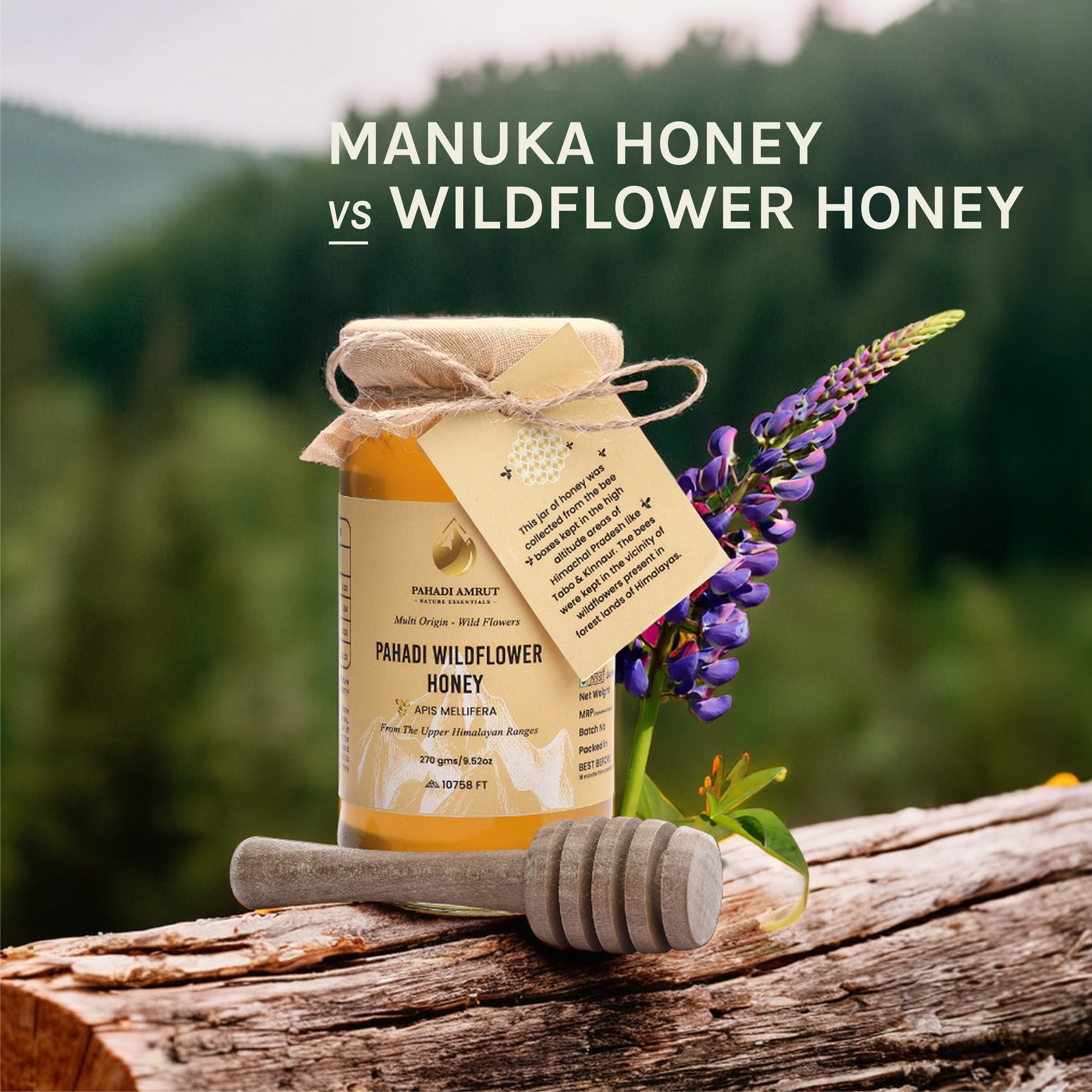 Manuka Honey Vs. Wildflower Honey: Benefits And Differences