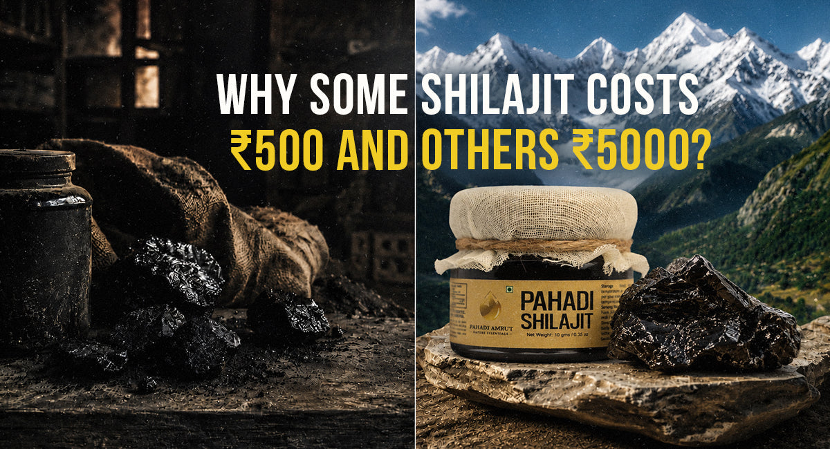 Why Some Shilajit Costs ₹500 and Others ₹5000