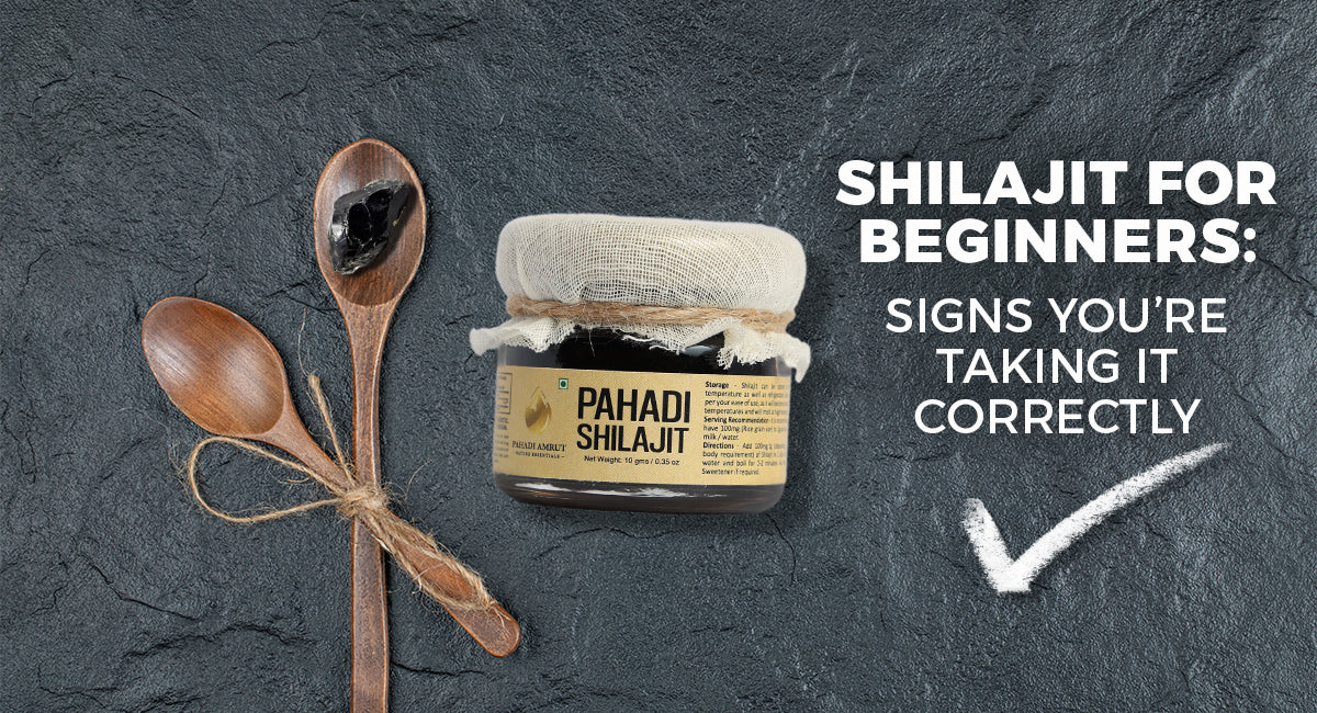 Shilajit for Beginners: Signs You’re Taking It Correctly