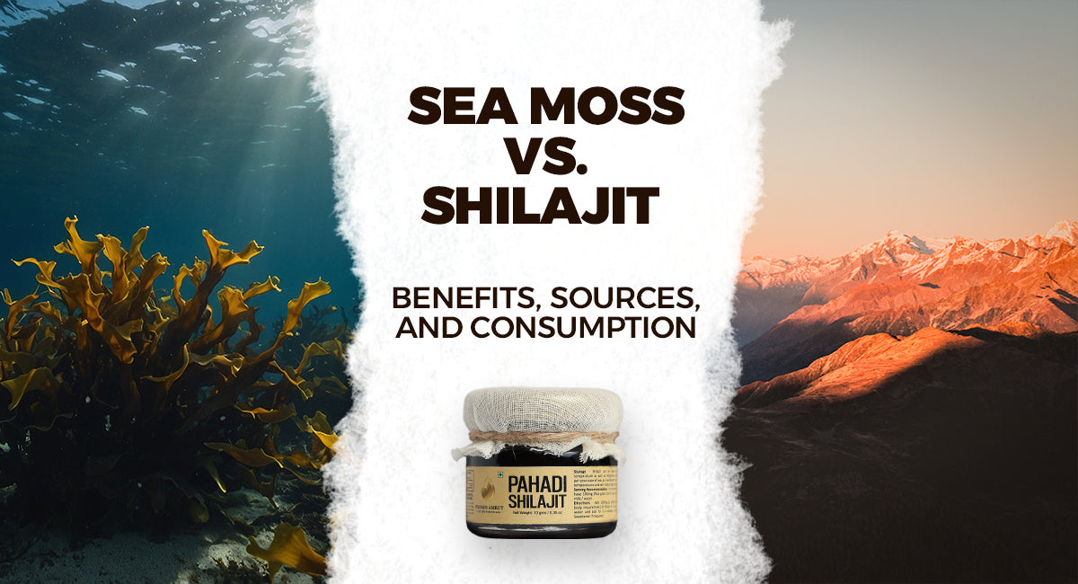 Sea Moss vs. Shilajit: Benefits, Sources, and Consumption
