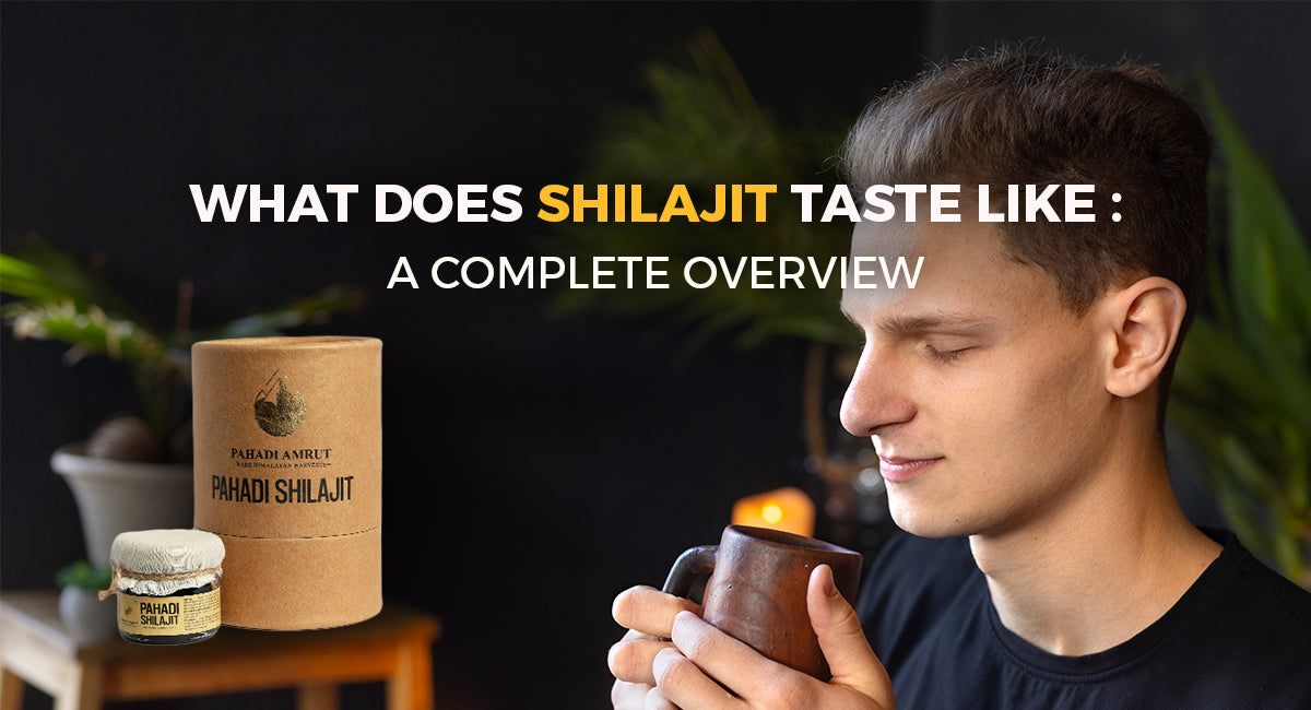 What Does Shilajit Taste Like: A Complete Overview