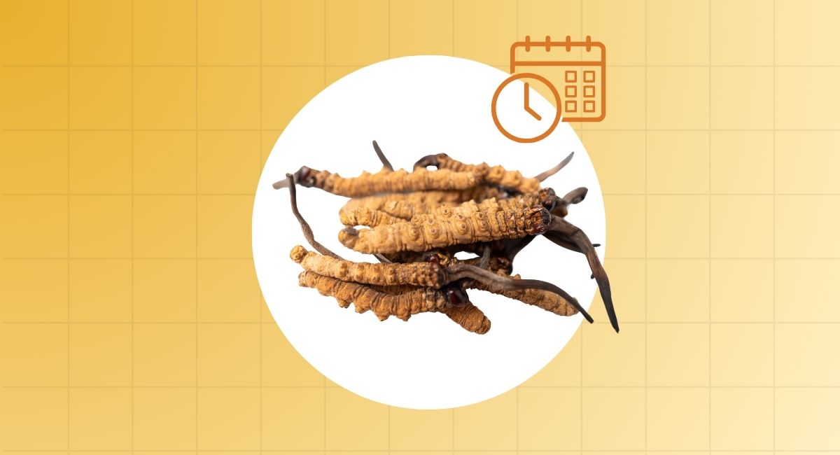 Shelf Life of Cordyceps Sinensis: Does It Ever Expire?