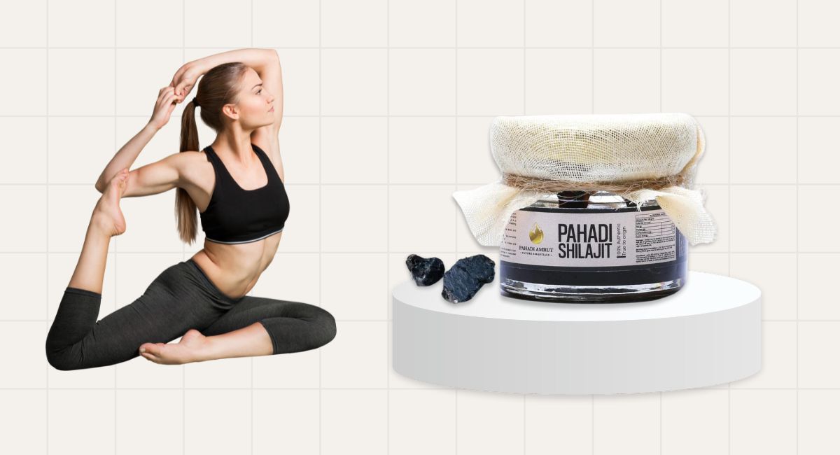 Shilajit For Immunity, Strength & Stamina: A Complete Guide