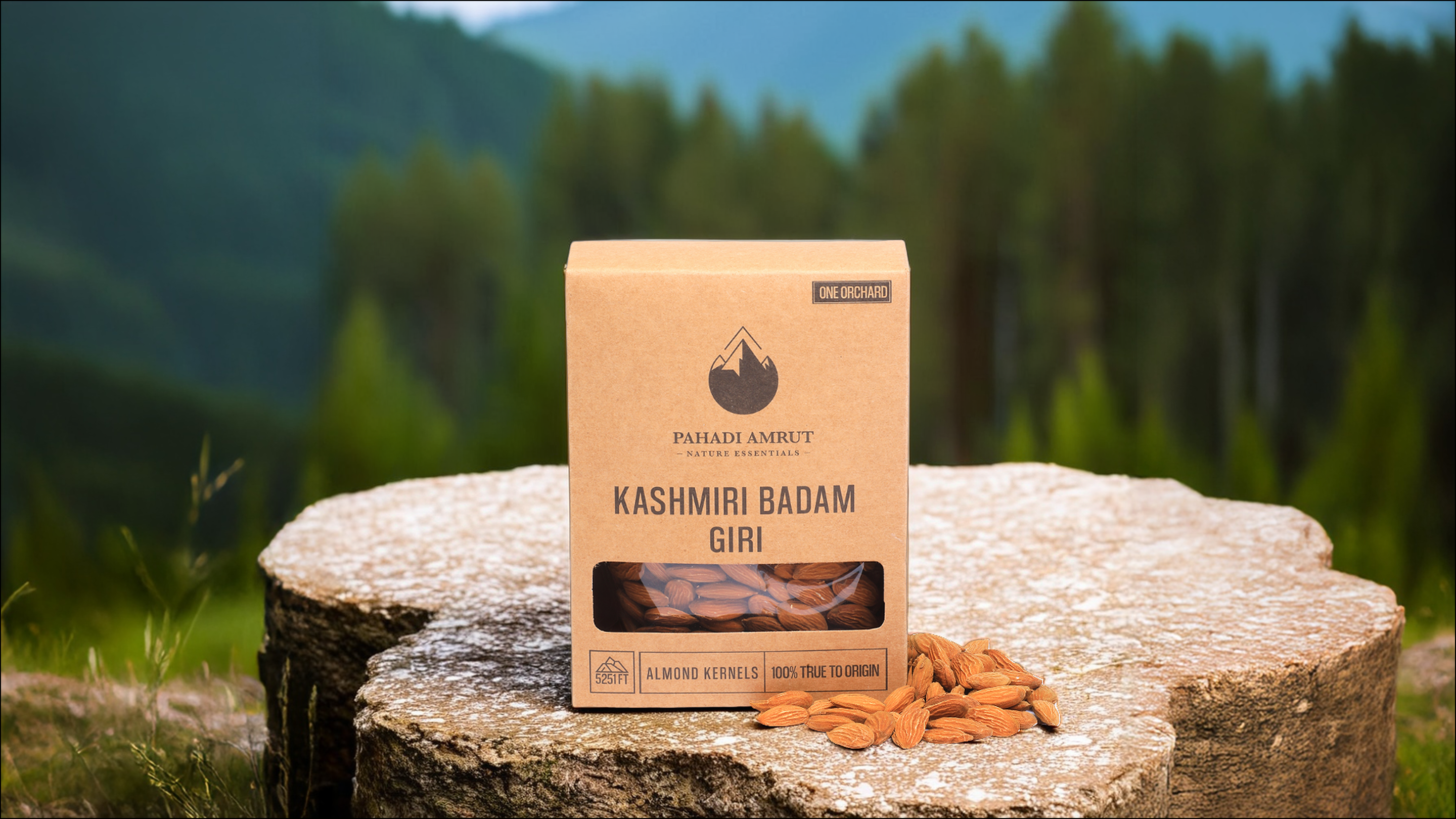 Kashmiri Badam Giri
