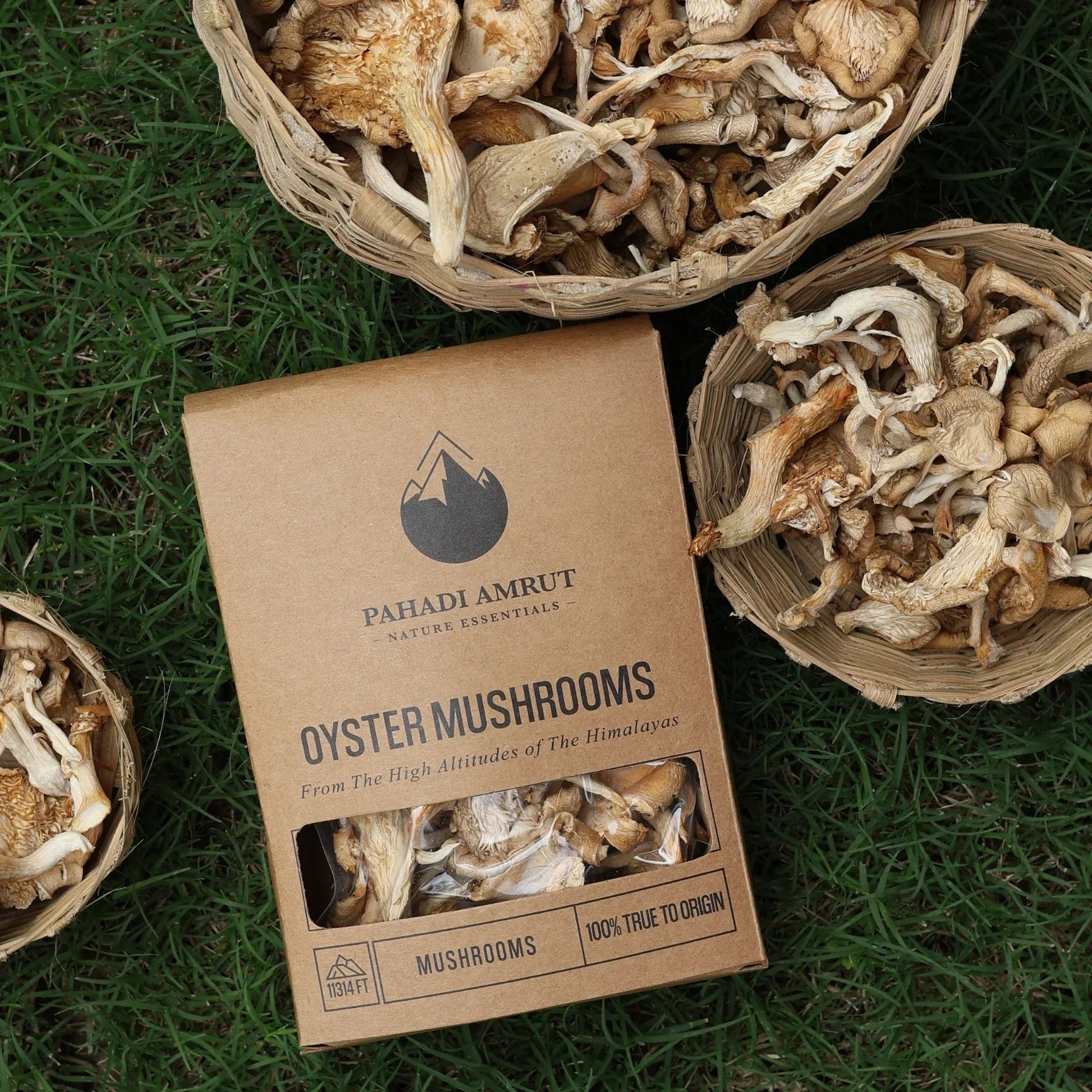 Oyster Mushrooms (50gm)
