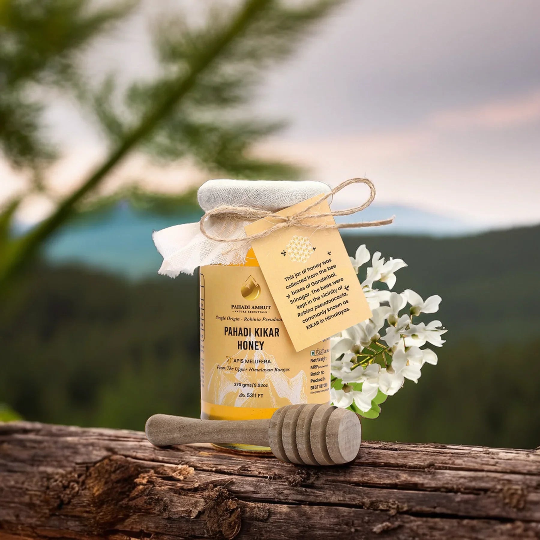 Kikar Honey