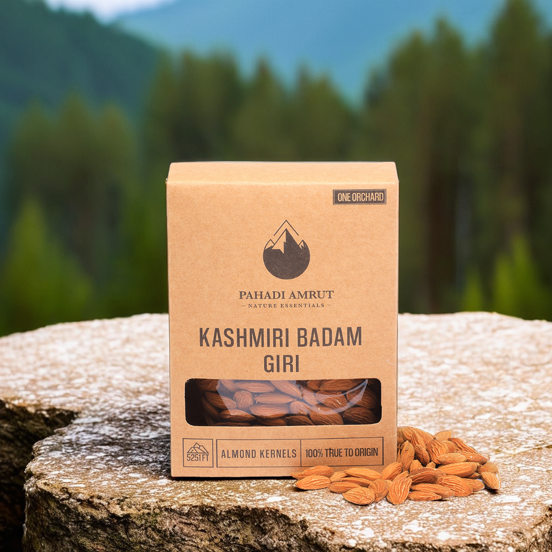 Kashmiri Badam Giri