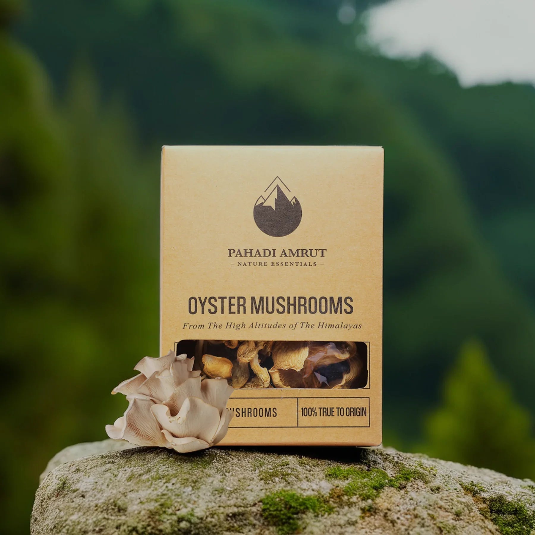 Oyster Mushrooms (50gm)