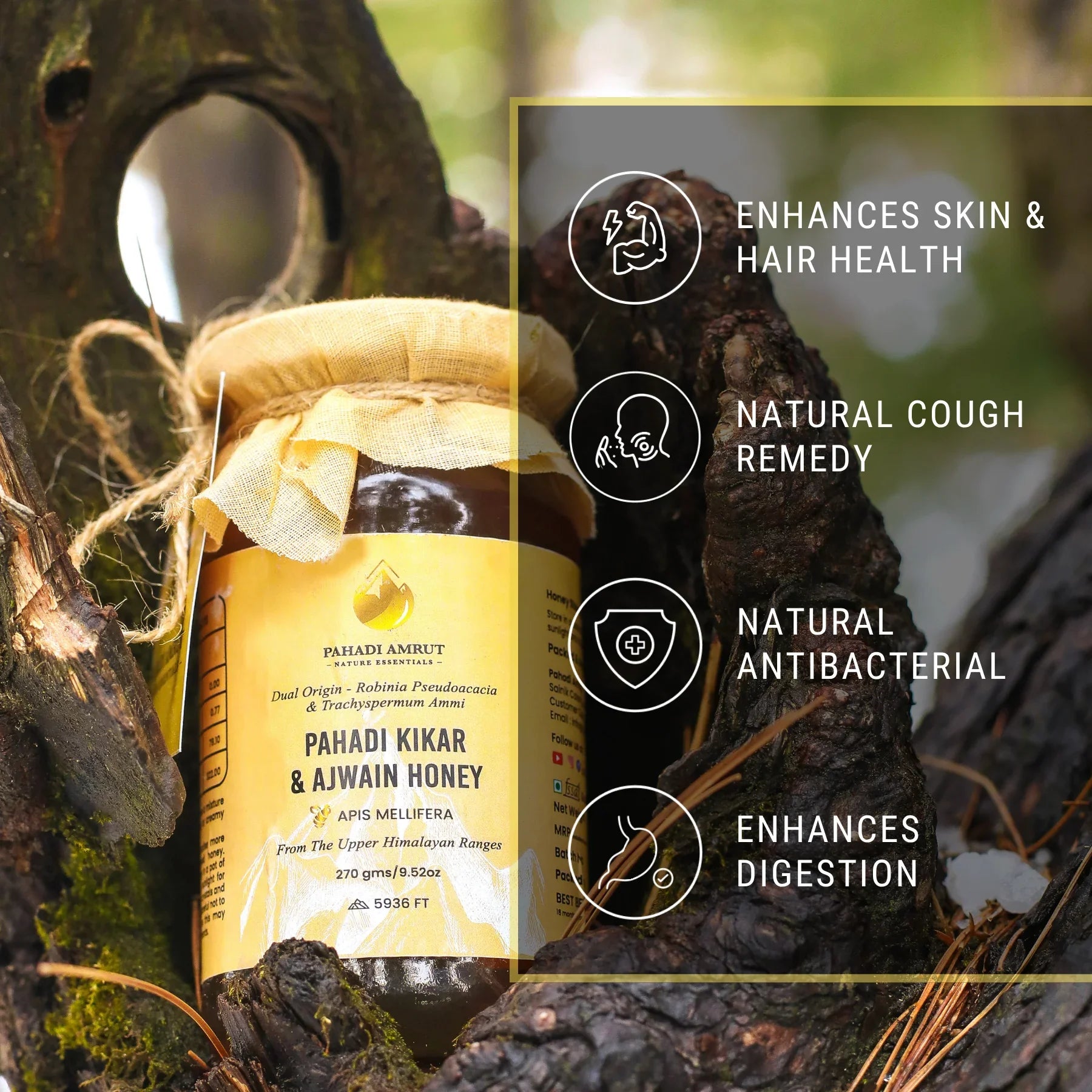 Kikar & Ajwain Honey