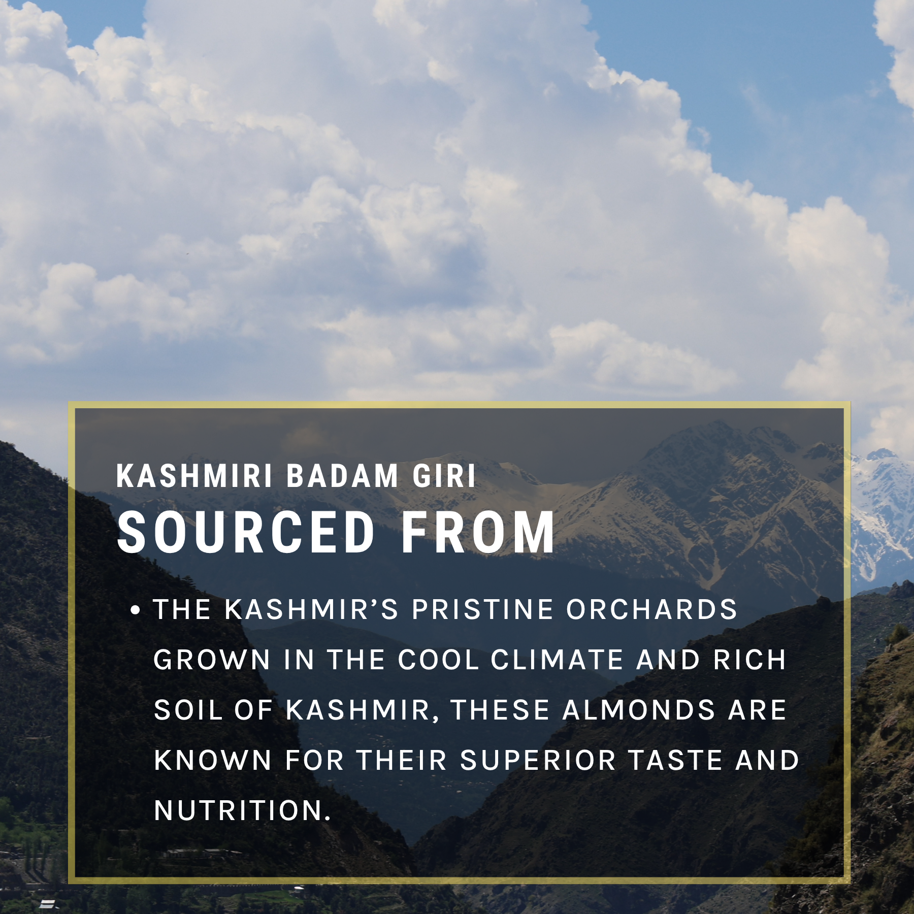 Kashmiri Badam Giri