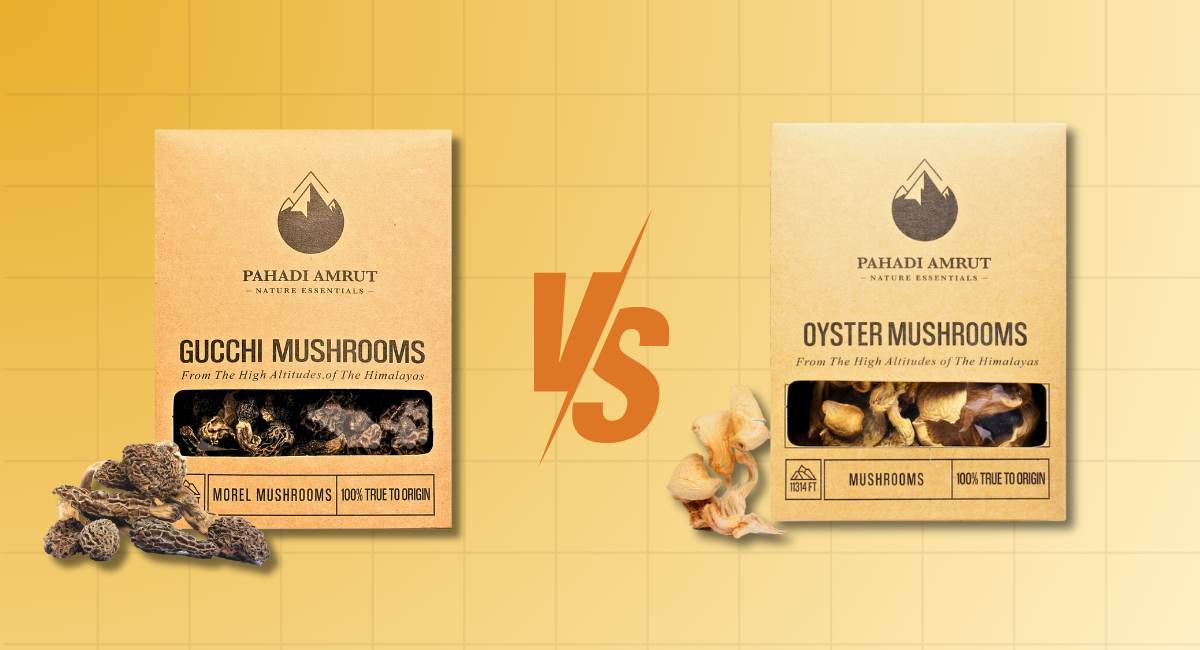 Gucchi vs. Oyster Mushrooms: Differences in Taste, Nutrition, and Usage