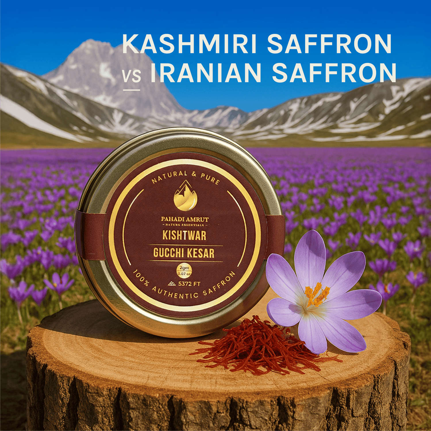 Kashmiri Saffron vs. Iranian Saffron: What’s the Difference?