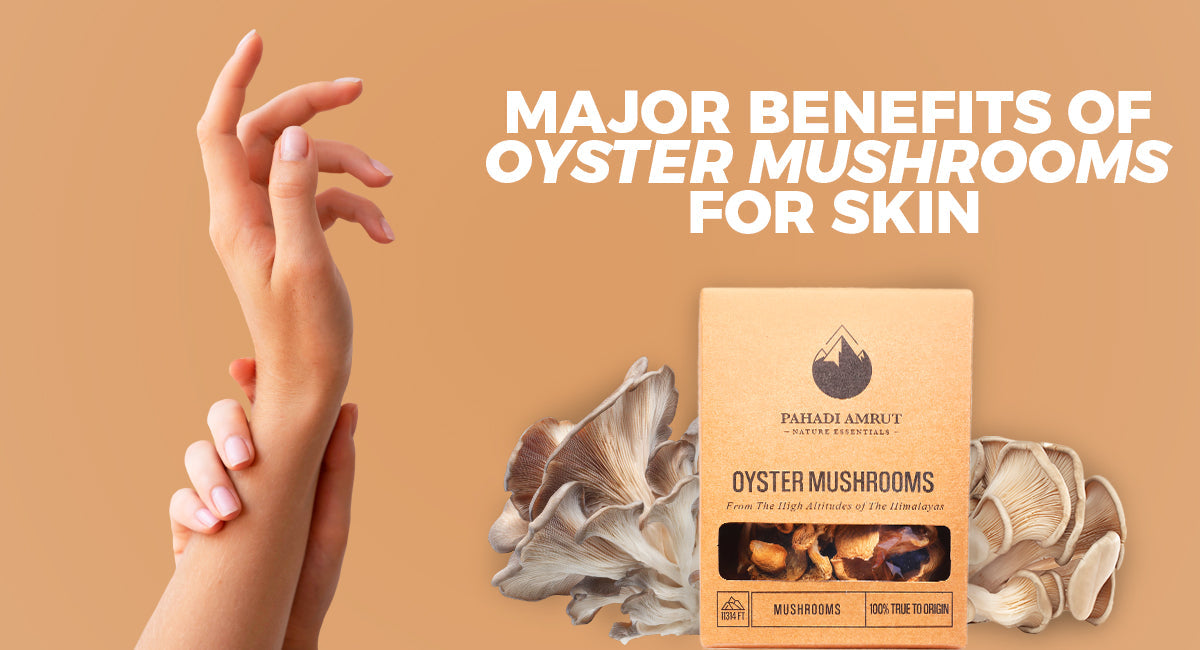 5 Major Benefits of Oyster Mushrooms For Skin