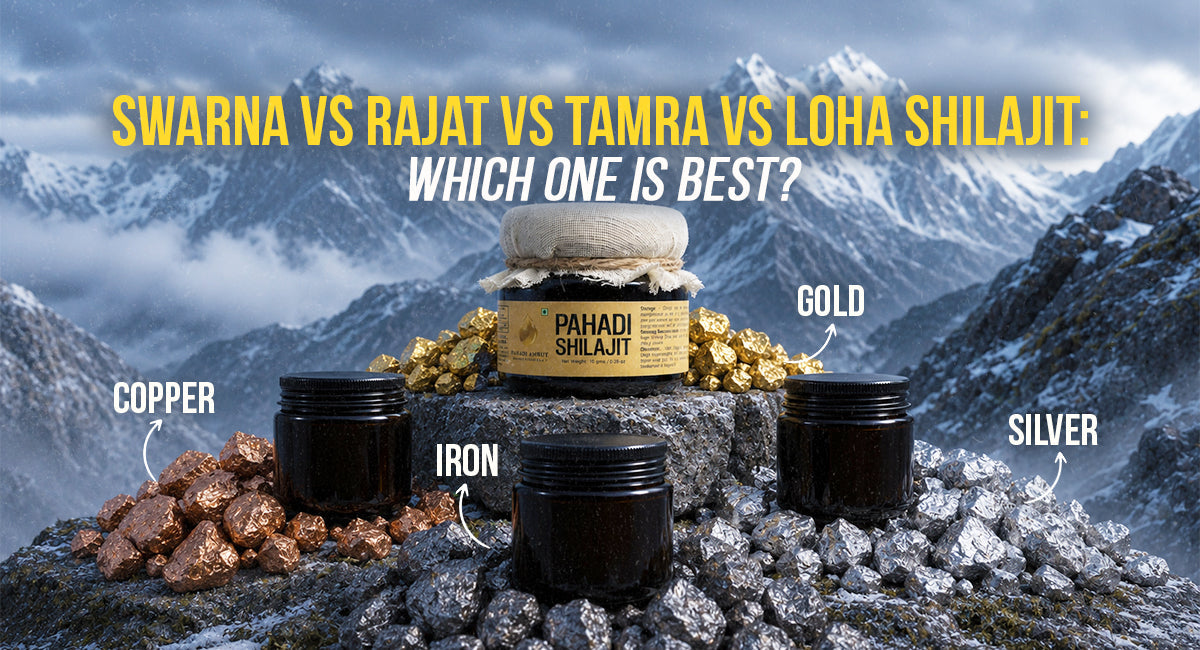 Swarna vs Rajat vs Tamra vs Loha Shilajit: Which One Is Best?