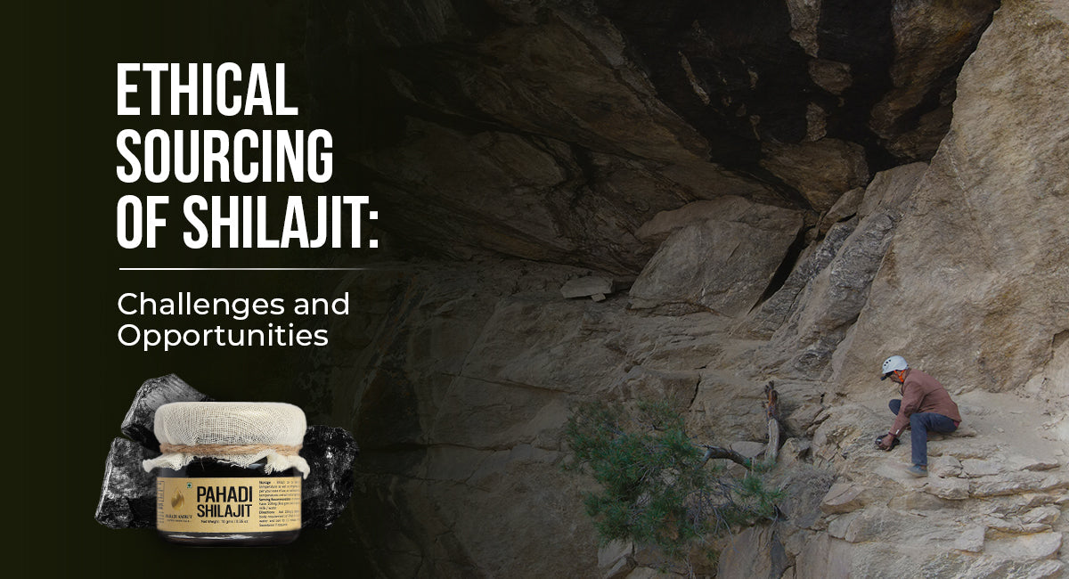 Ethical Sourcing of Shilajit: Challenges and Opportunities