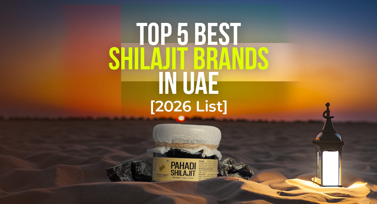 Top 5 Best Shilajit Brands In UAE [2026 List]