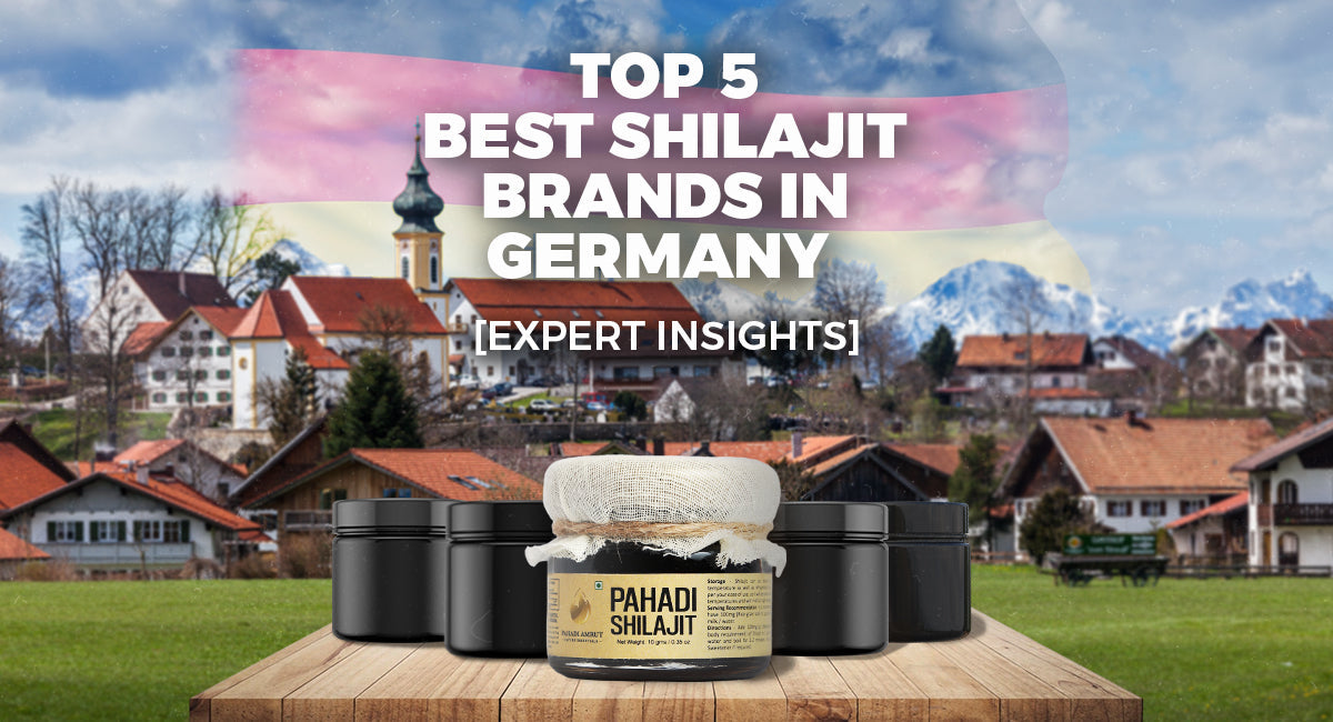 Top 5 Best Shilajit Brands In Germany [Expert Insights]