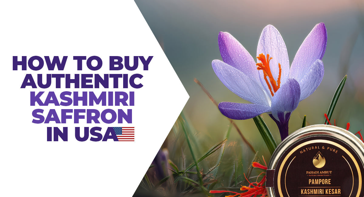 How to Buy Authentic Kashmiri Saffron in USA?