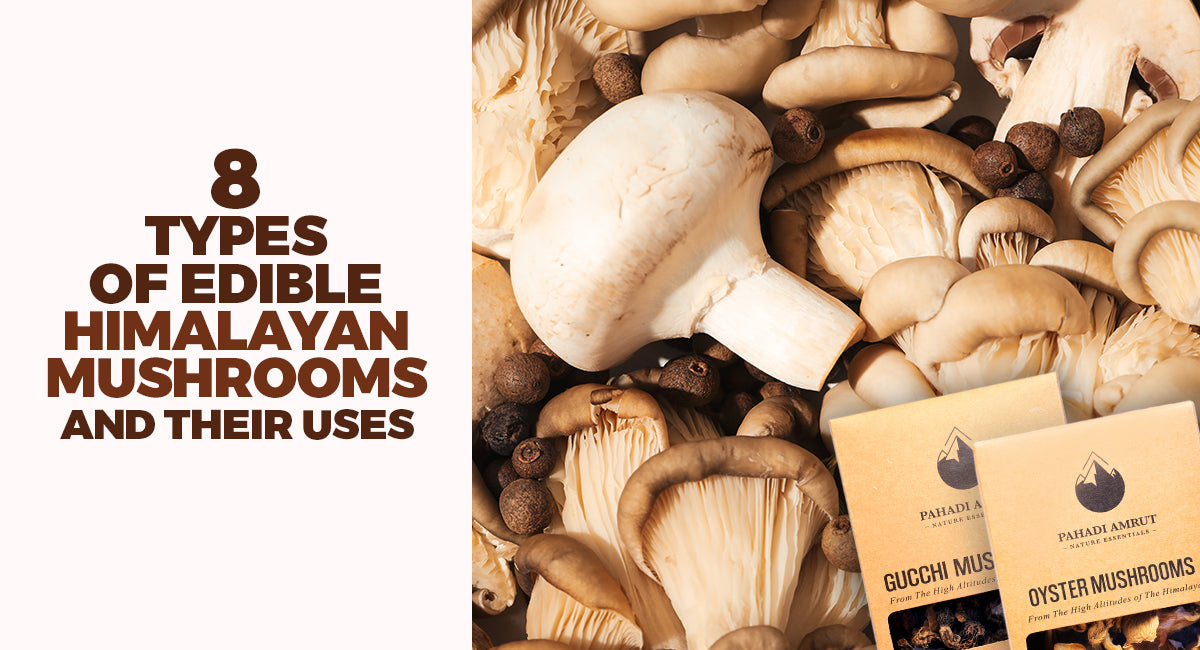 8 Types of Edible Himalayan Mushrooms and Their Uses