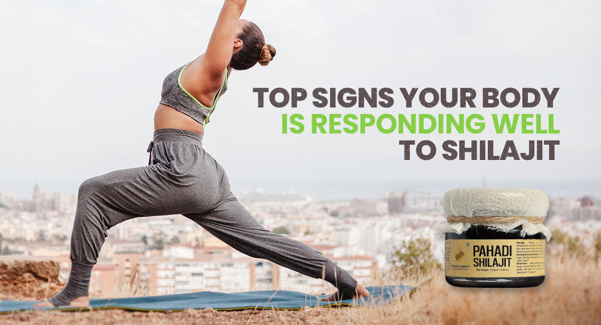 Top Signs Your Body Is Responding Well to Shilajit