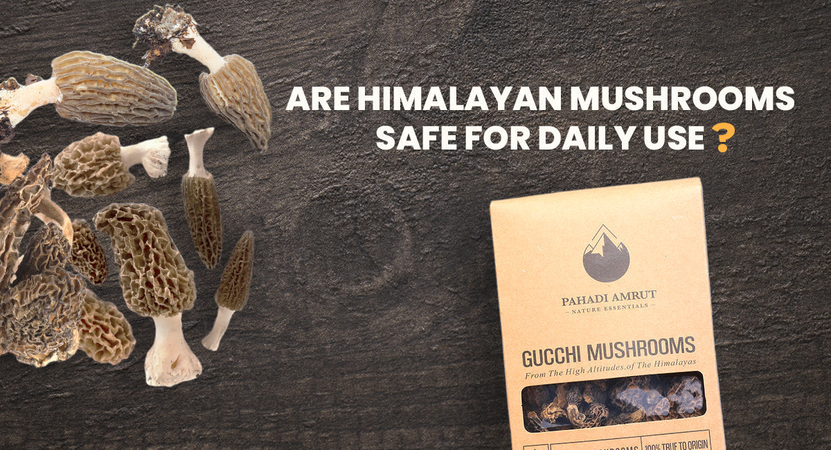 Are Himalayan Mushrooms Safe For Daily Use?