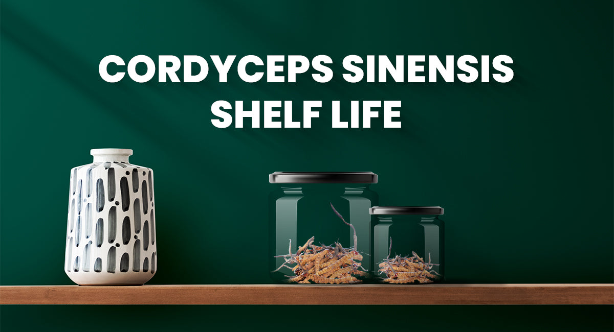 Shelf Life of Cordyceps Sinensis: Does It Ever Expire?