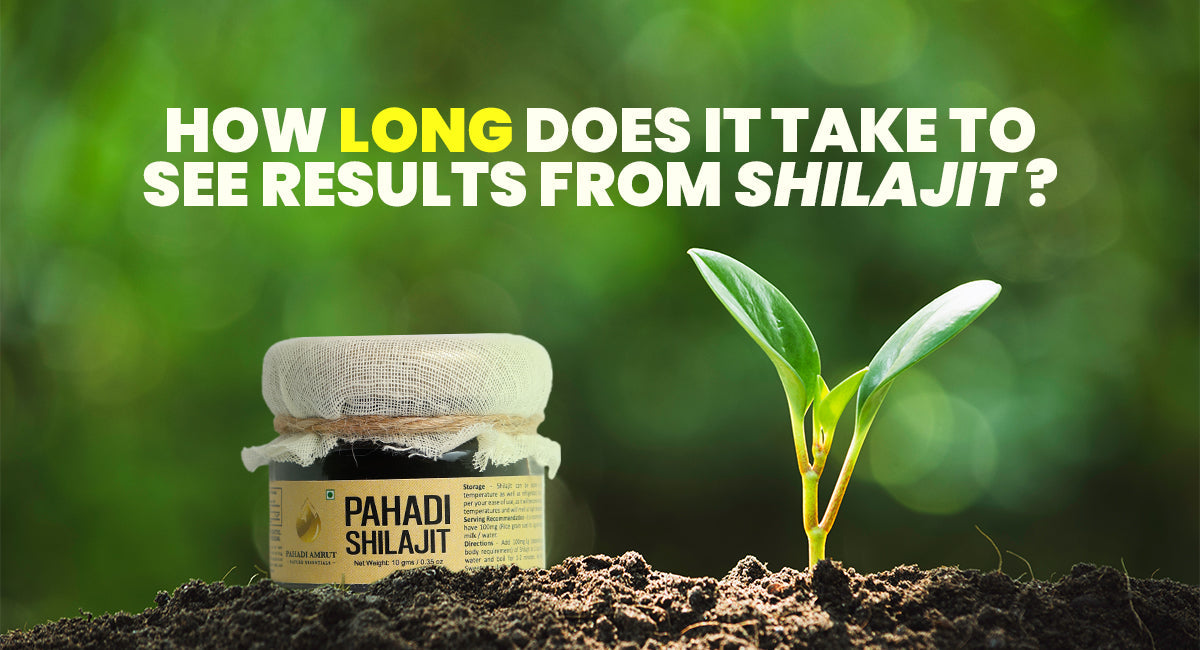 How Long Does It Take to See Results From Shilajit?