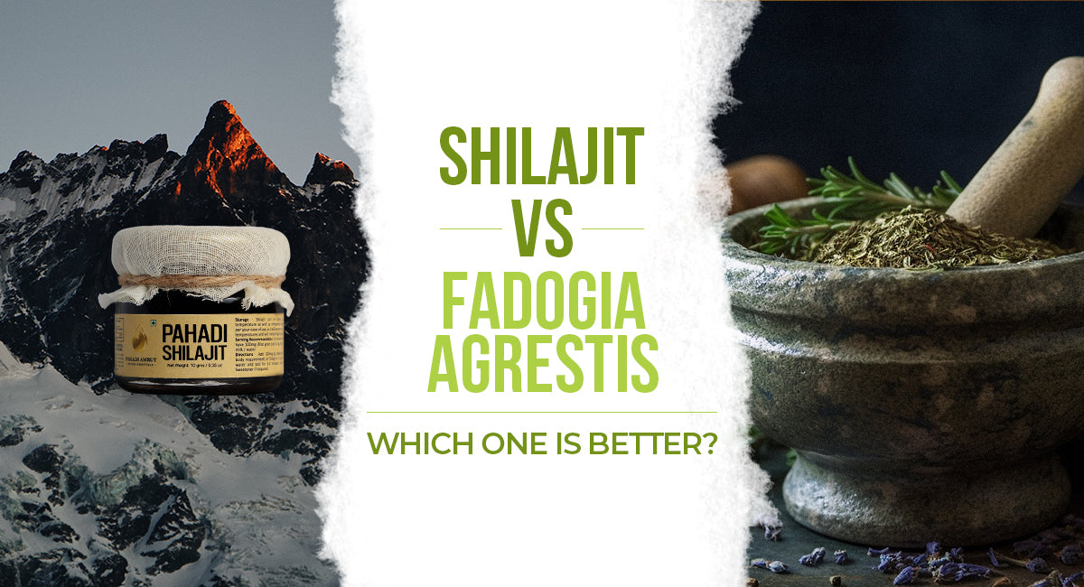 Sea Moss vs. Shilajit: Benefits, Sources, and Consumption