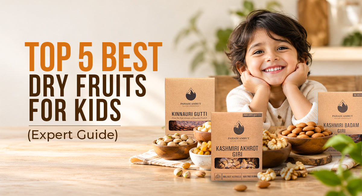 Top 5 Best Dry Fruits For Kids (Expert Guide)
