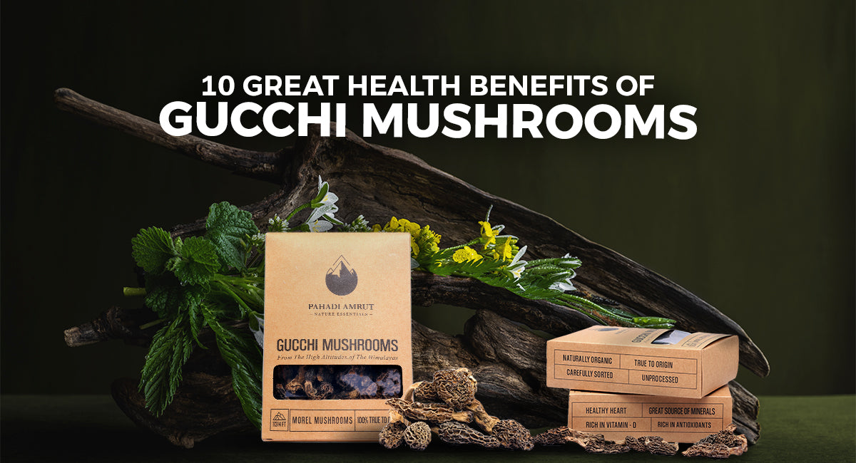 10 Great Health Benefits of Gucchi Mushrooms