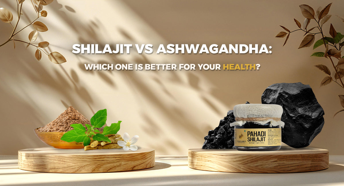 Shilajit Vs. Ashwagandha: Which One Is Better For Your Health?