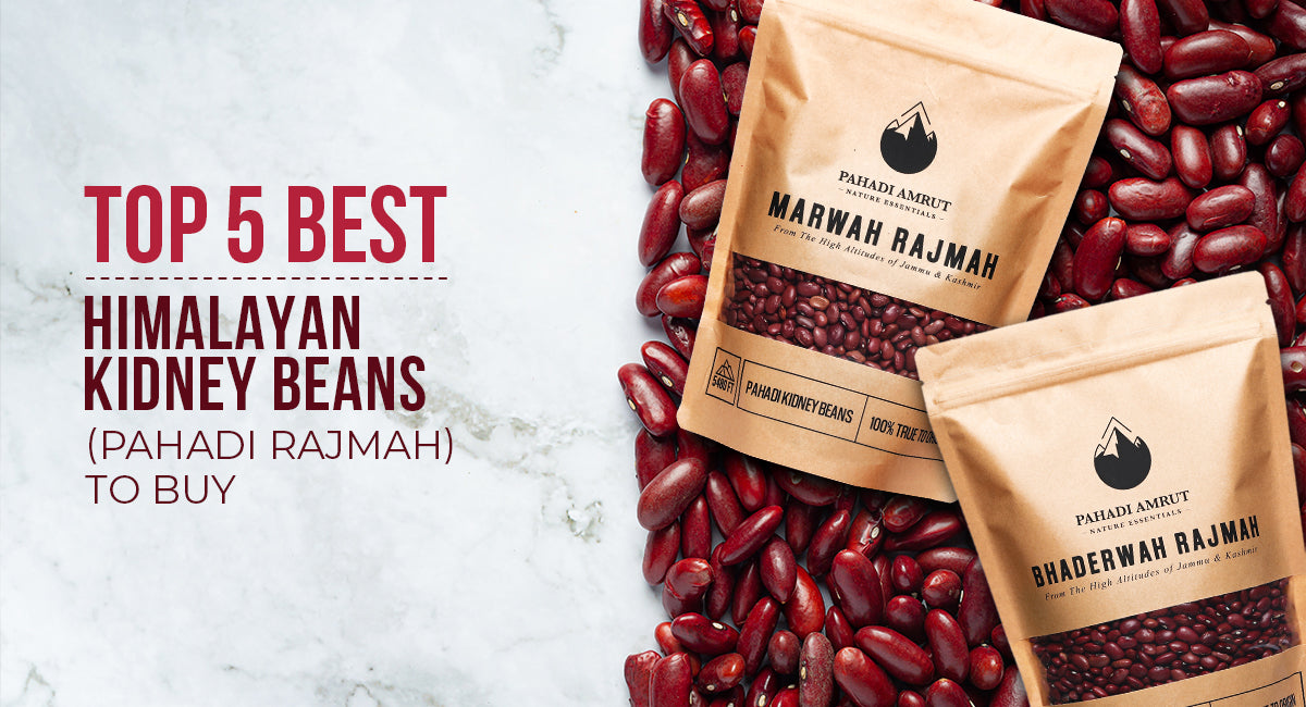 Top 5 Best Himalayan Kidney Beans (Pahadi Rajma) To Buy