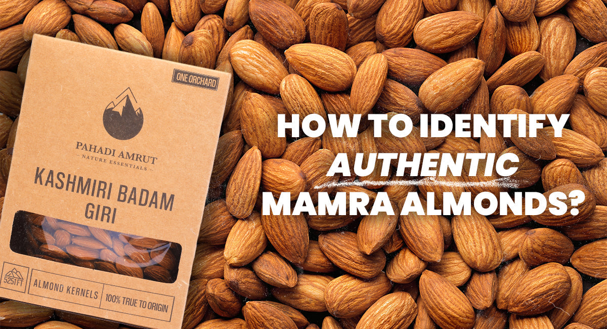 How to Identify Authentic Mamra Almonds