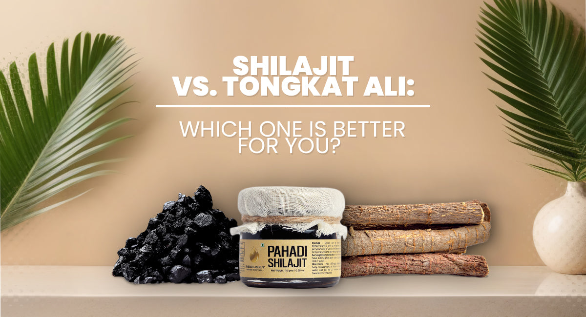 Shilajit vs. Tongkat Ali: Which One Is Better For You?