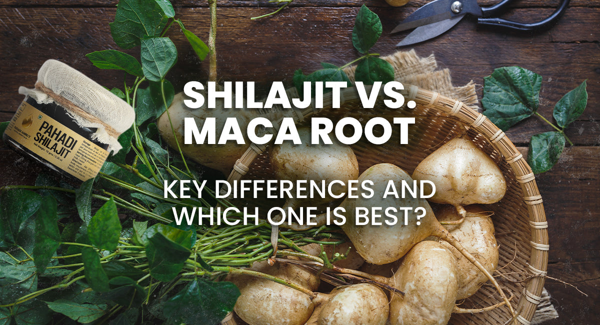 Shilajit Vs. Maca Root: Key Differences and Which One Is Best?