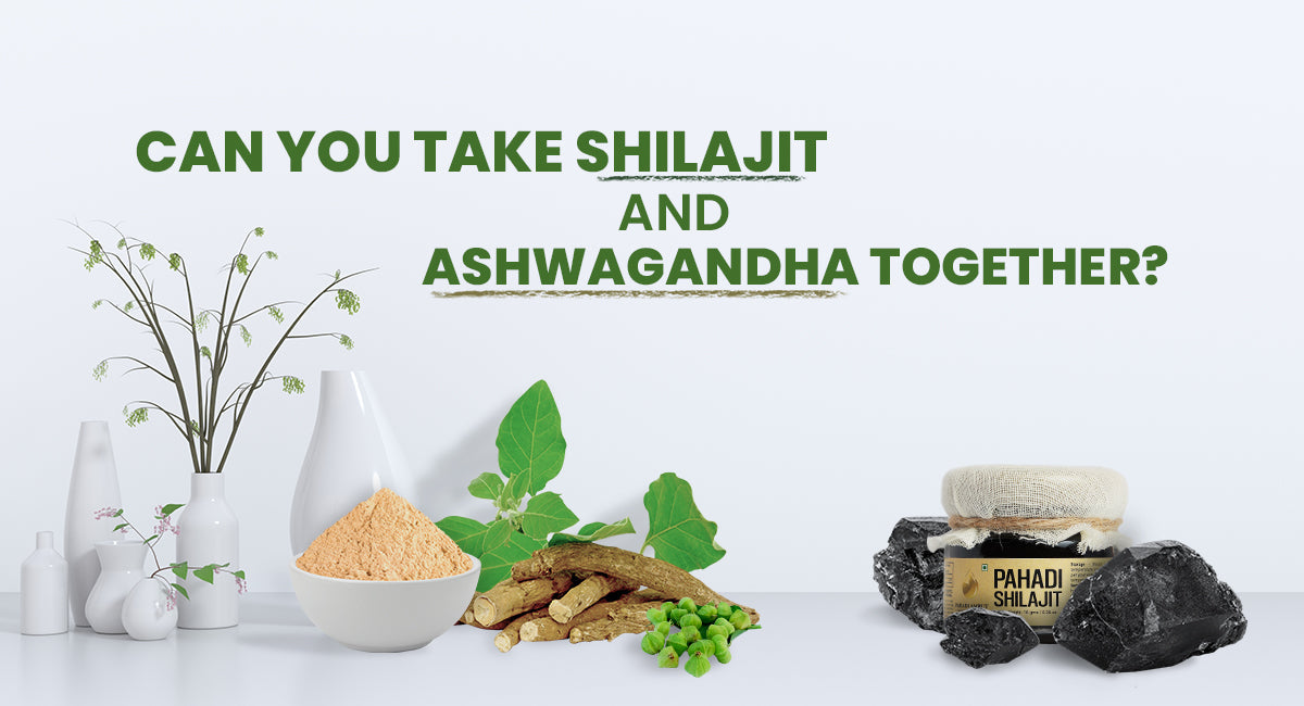 Can You Take Shilajit and Ashwagandha Together?