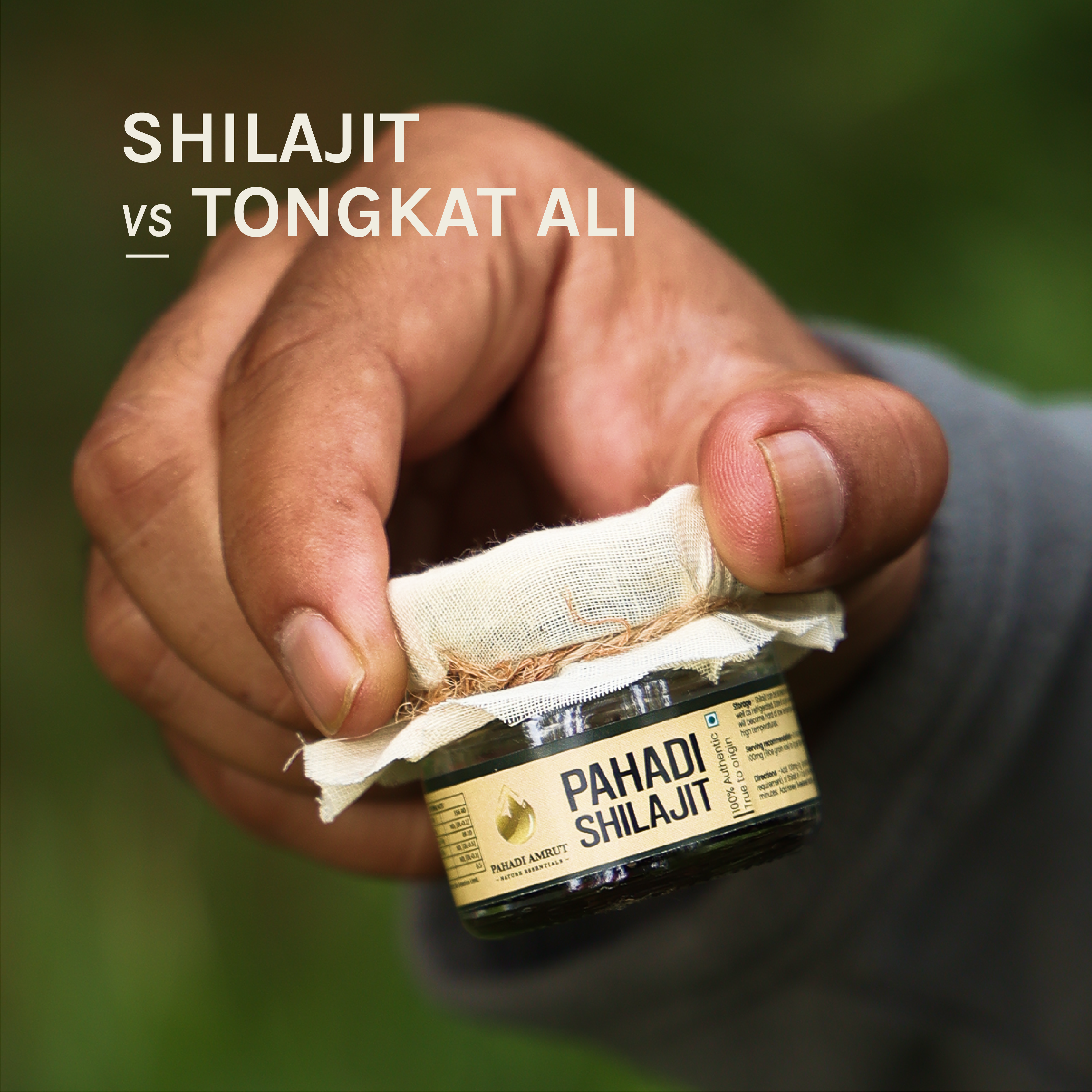 Shilajit vs. Tongkat Ali: Which One Is Better For You?