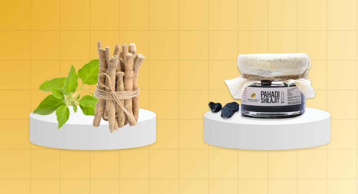 Shilajit Vs. Ashwagandha: Which One Is Better For Your Health?