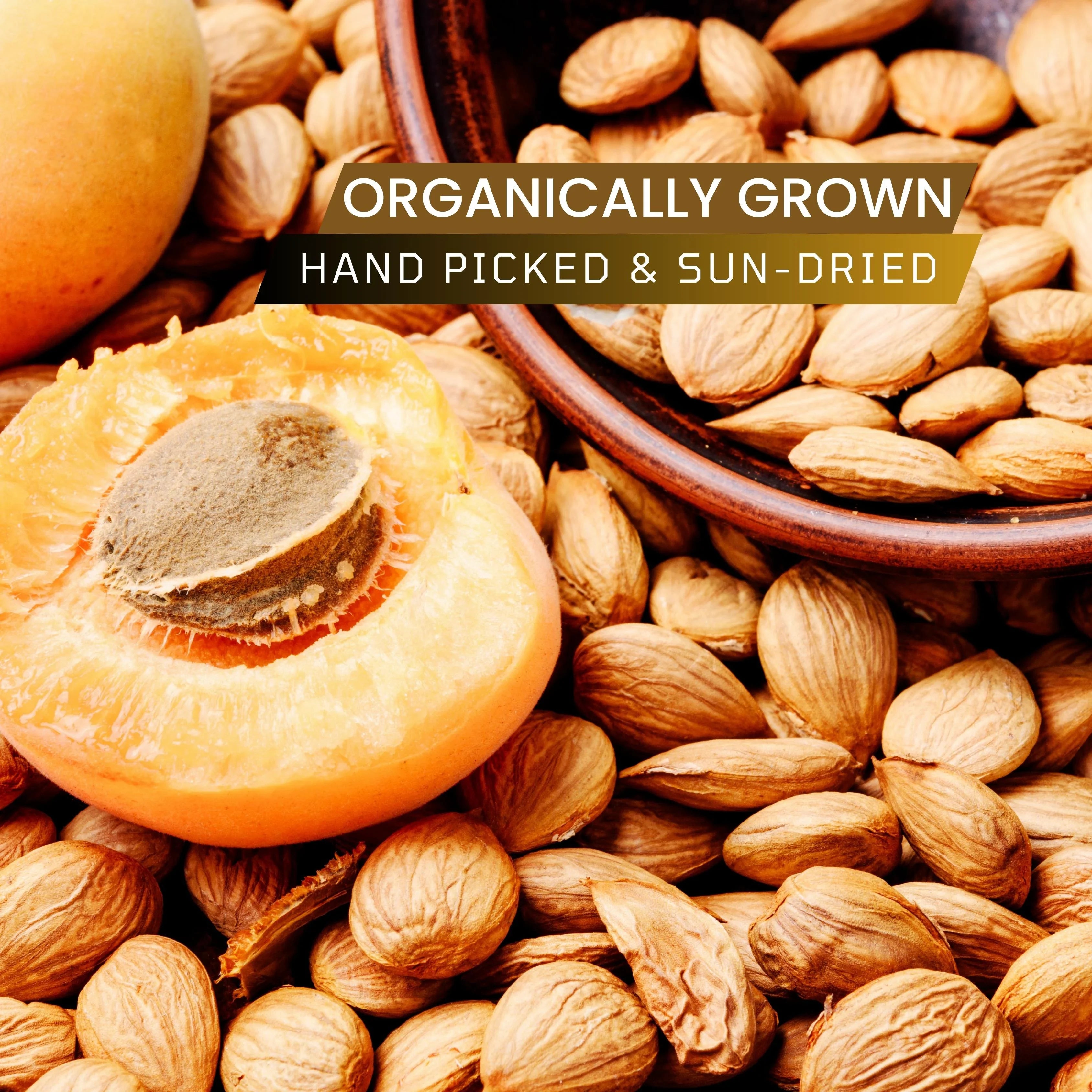 Kinnauri Gutti Nutrient Rich Apricot Kernels Pahadi Amrut kinnauri-gutti-nutrient-rich-apricot-kernels-pahadi-amrut