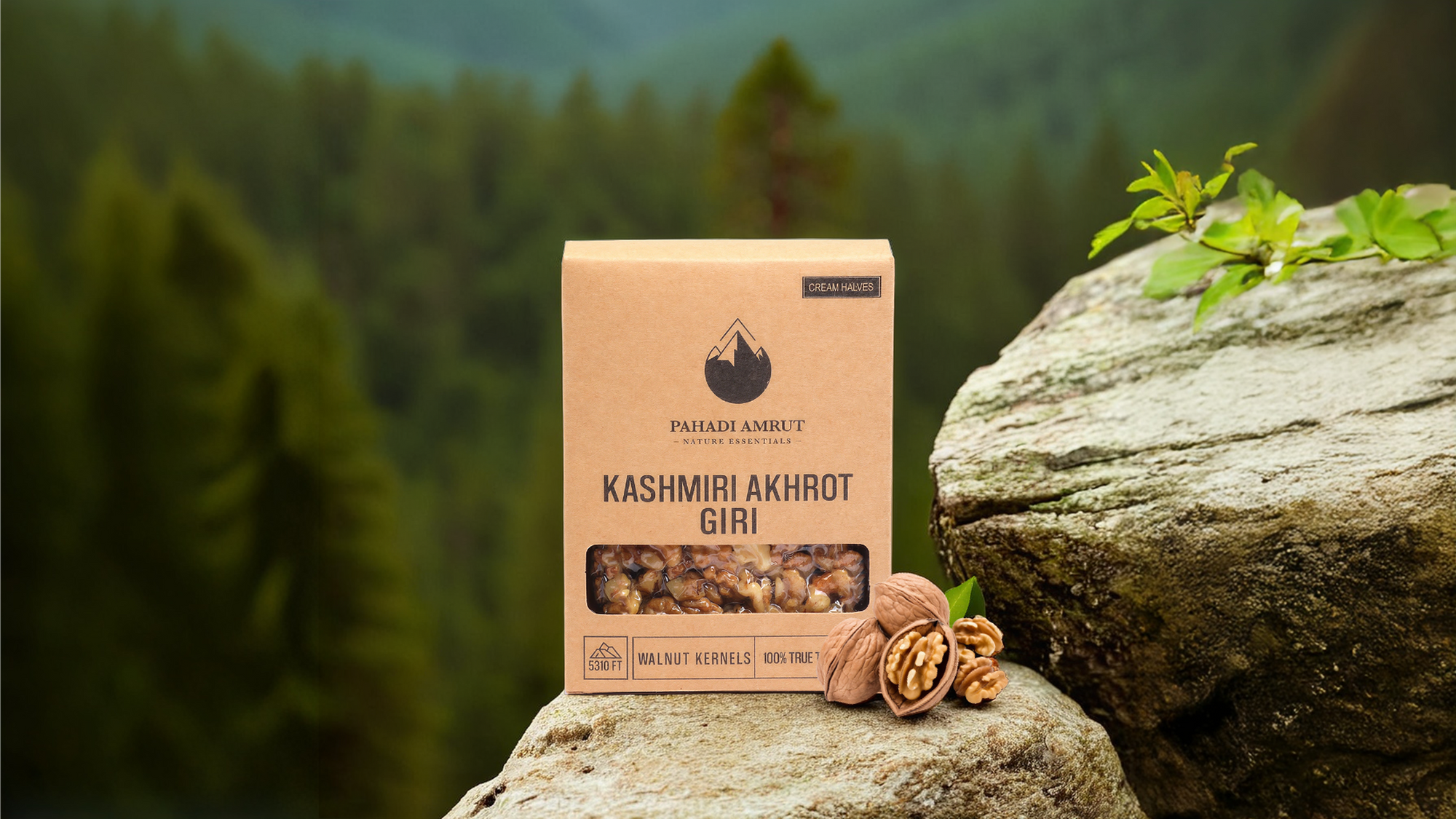 Kashmiri Akhrot Giri