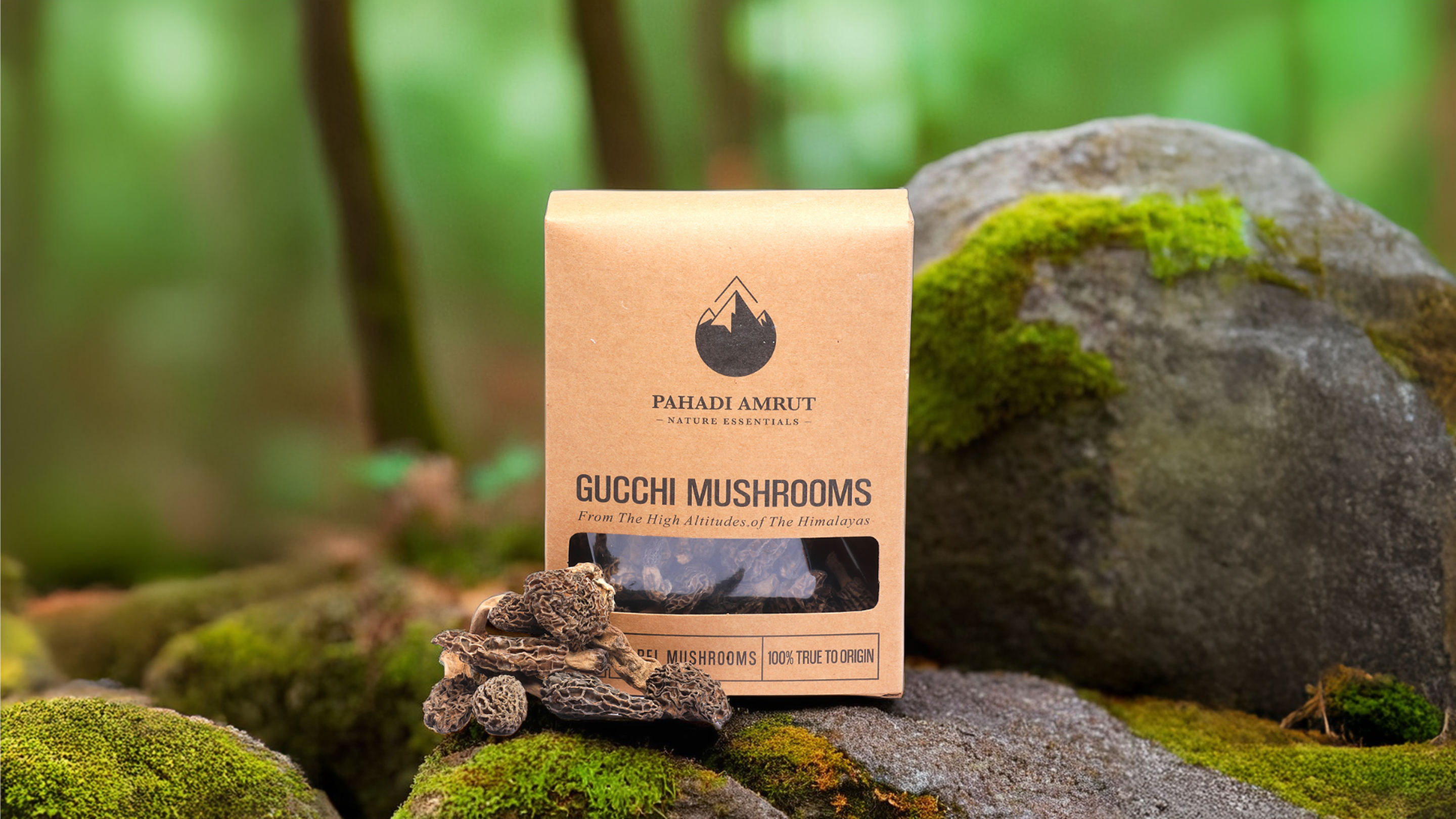 Gucchi Mushrooms (50gm)