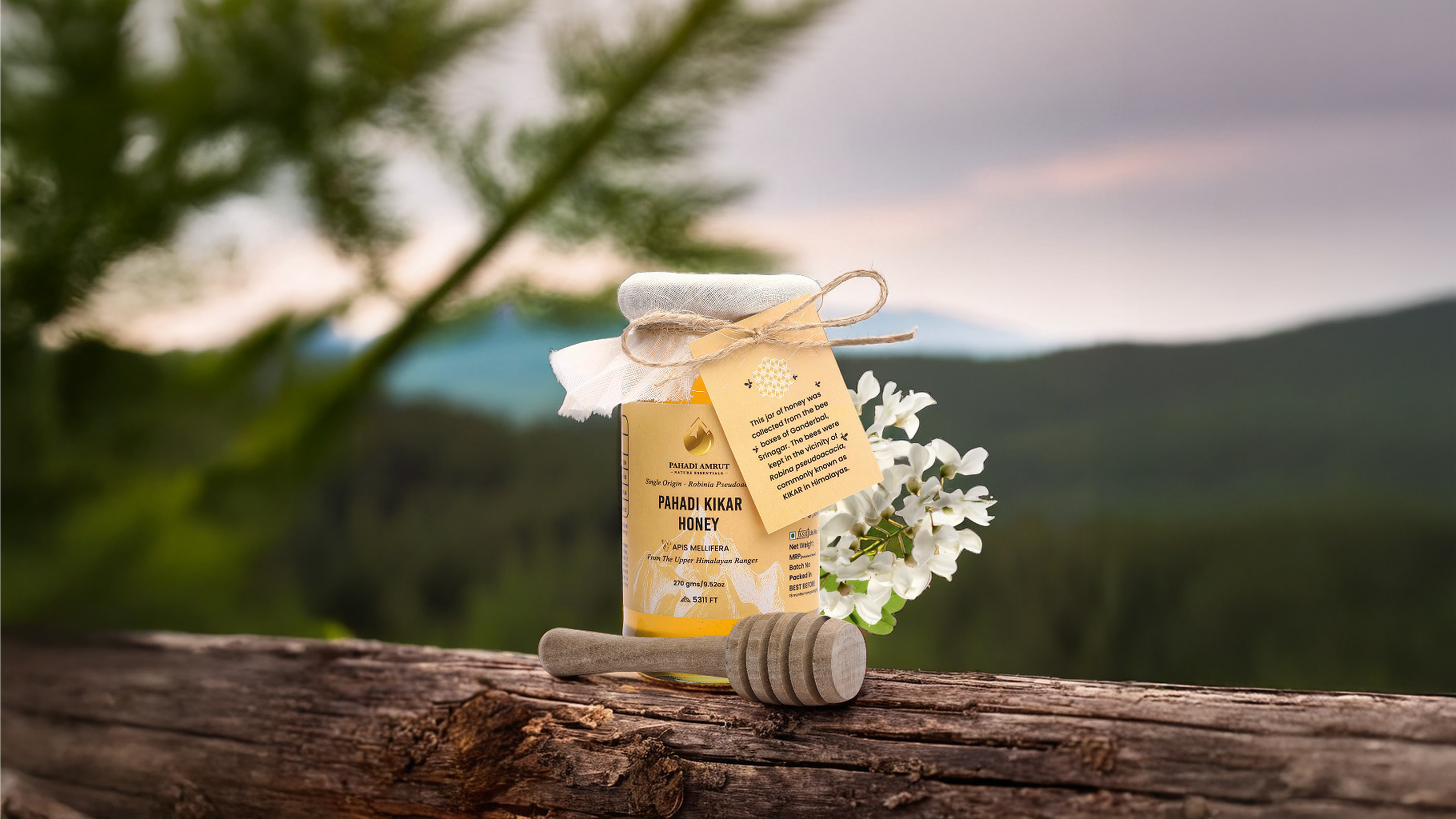 Kikar Honey