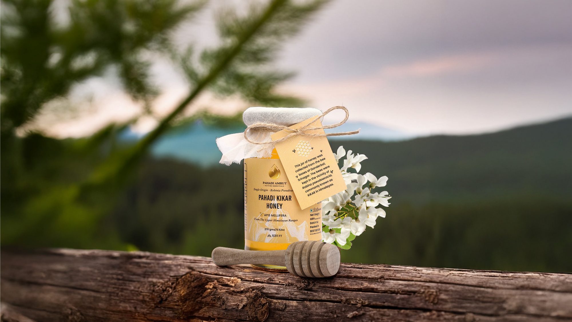 Kikar Honey