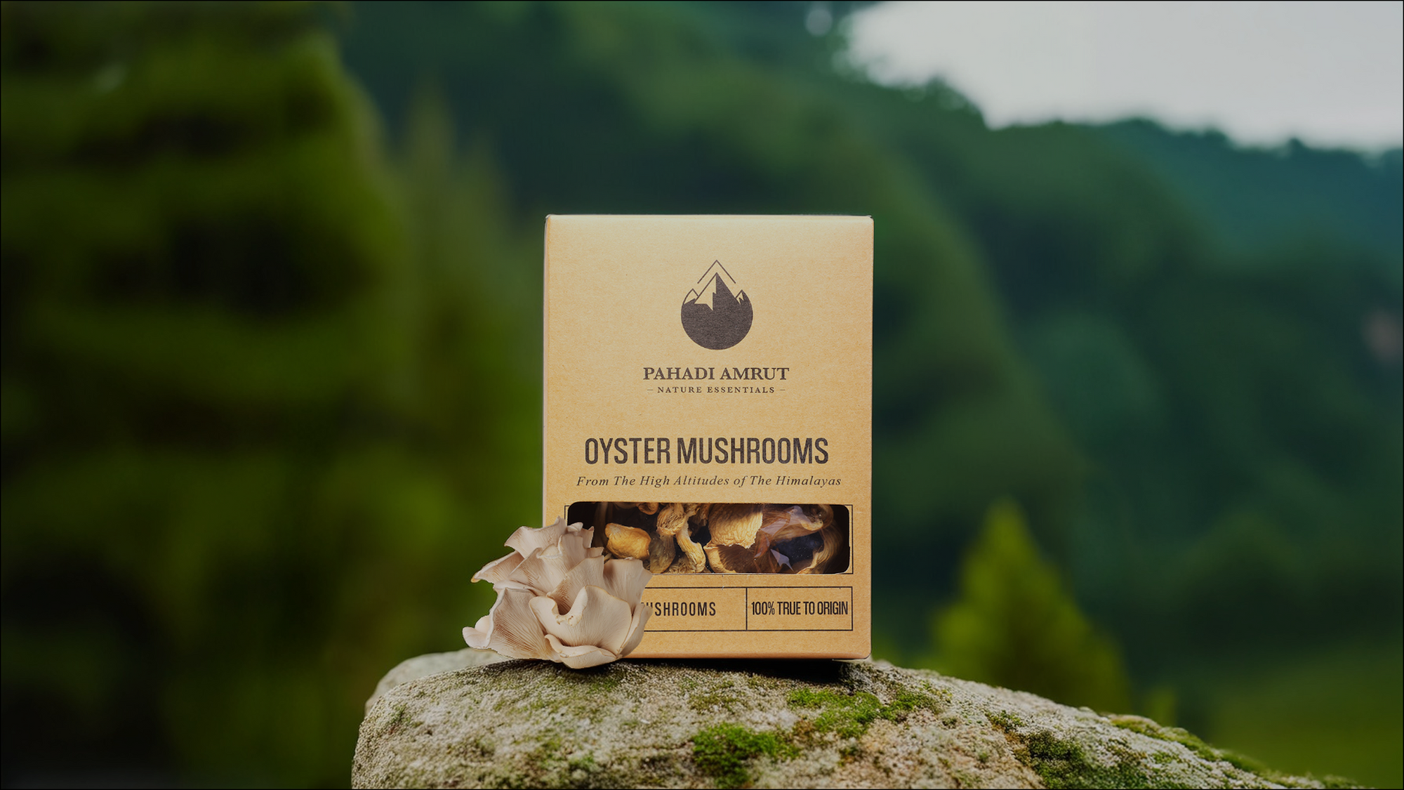 Oyster Mushrooms (50gm)