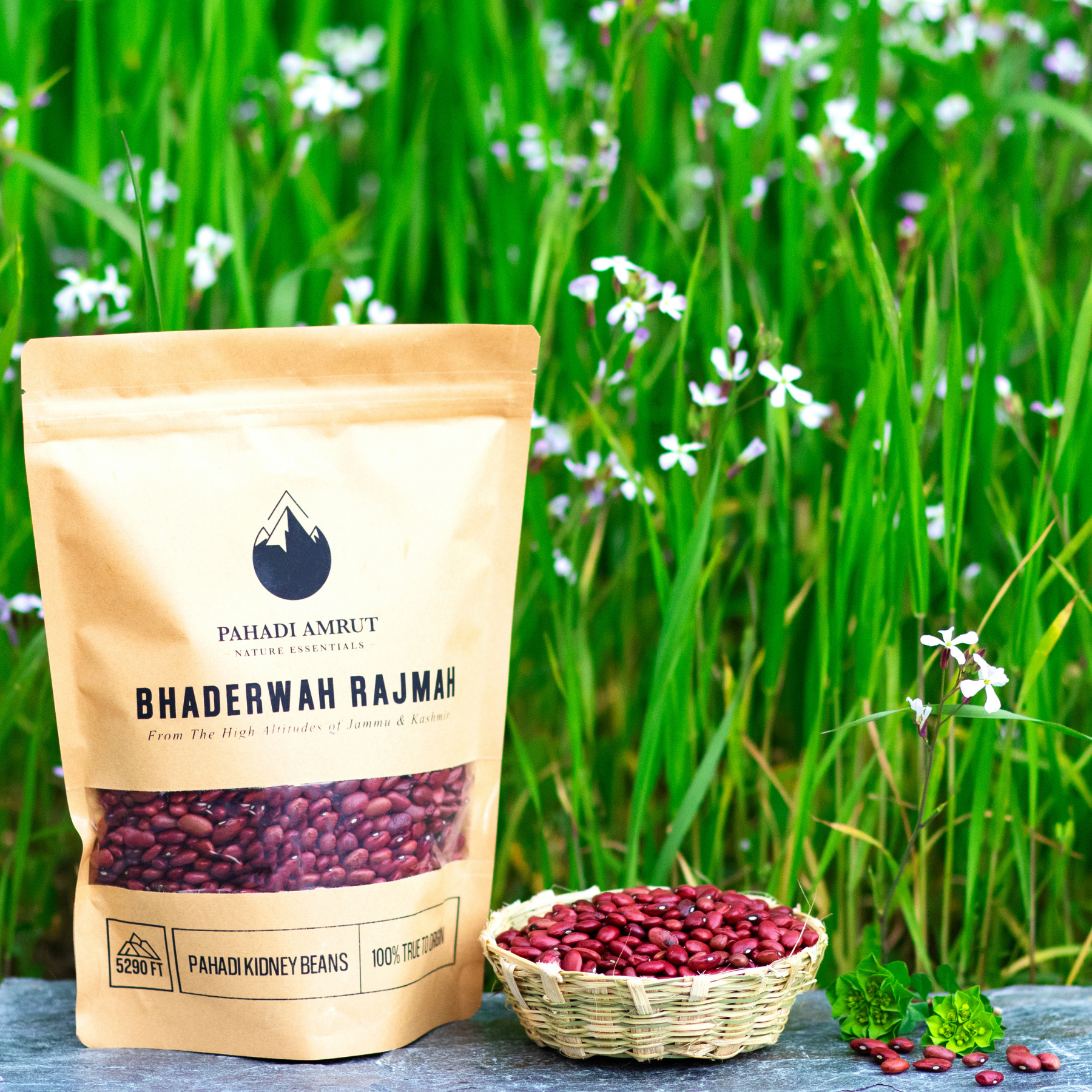 Bhaderwah Rajma