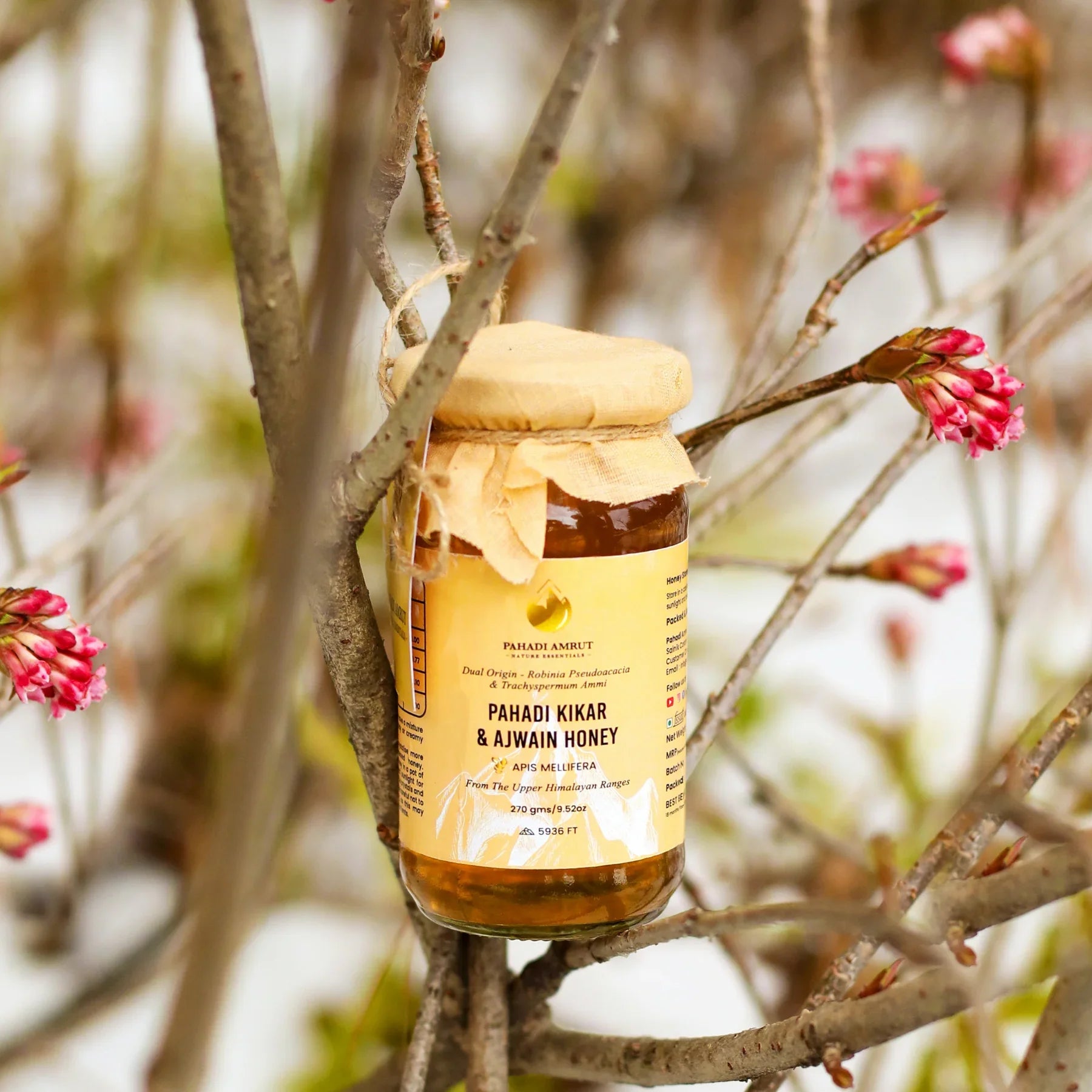 Kikar & Ajwain Honey