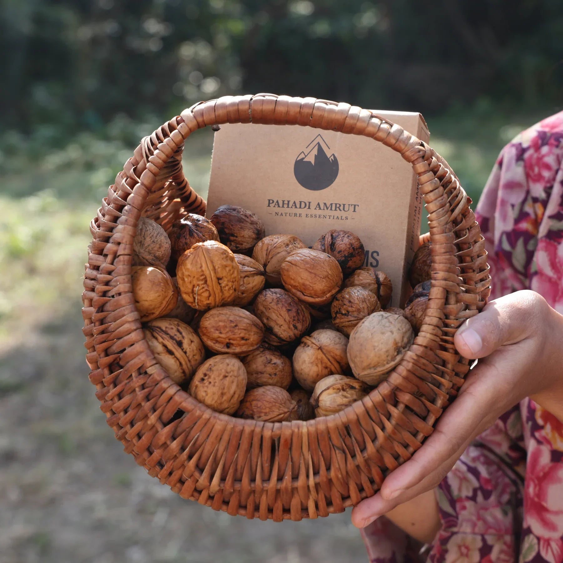 Kashmiri Akhrot Giri